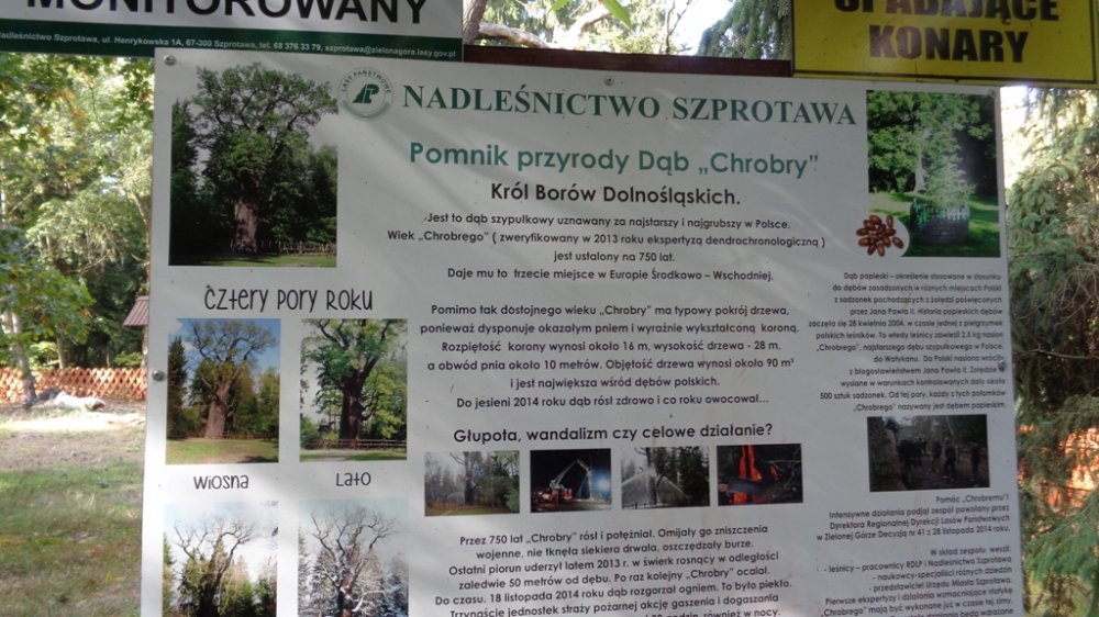 Wycieczka do Przemkowskiego Parku Krajobrazowego